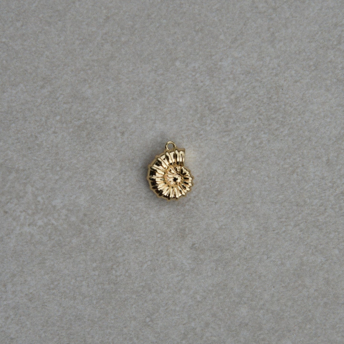 Charm Coquillage Spirale