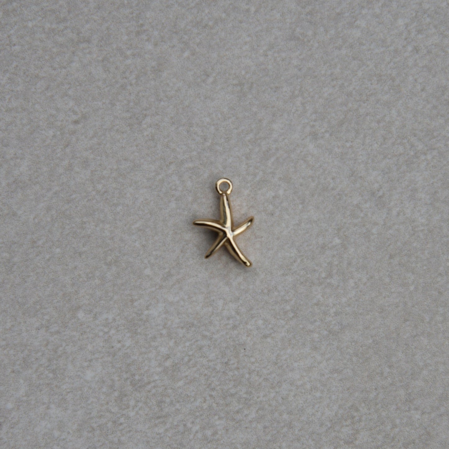 Charm Étoile de Mer - Mini