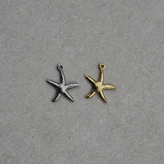 Charm Étoile de Mer Moyenne