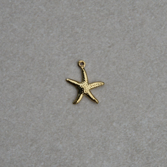 Charm Étoile de Mer Moyenne