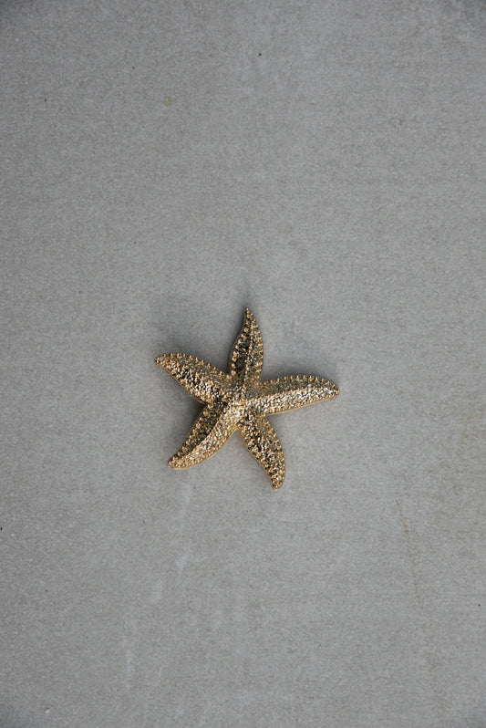 Broche Starfish