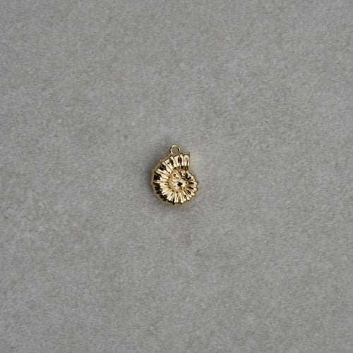 Charm Coquillage Spirale