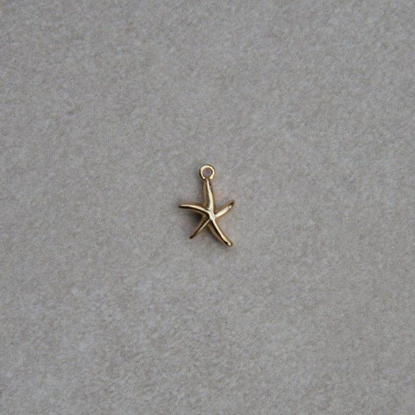 Charm Étoile de Mer - Mini