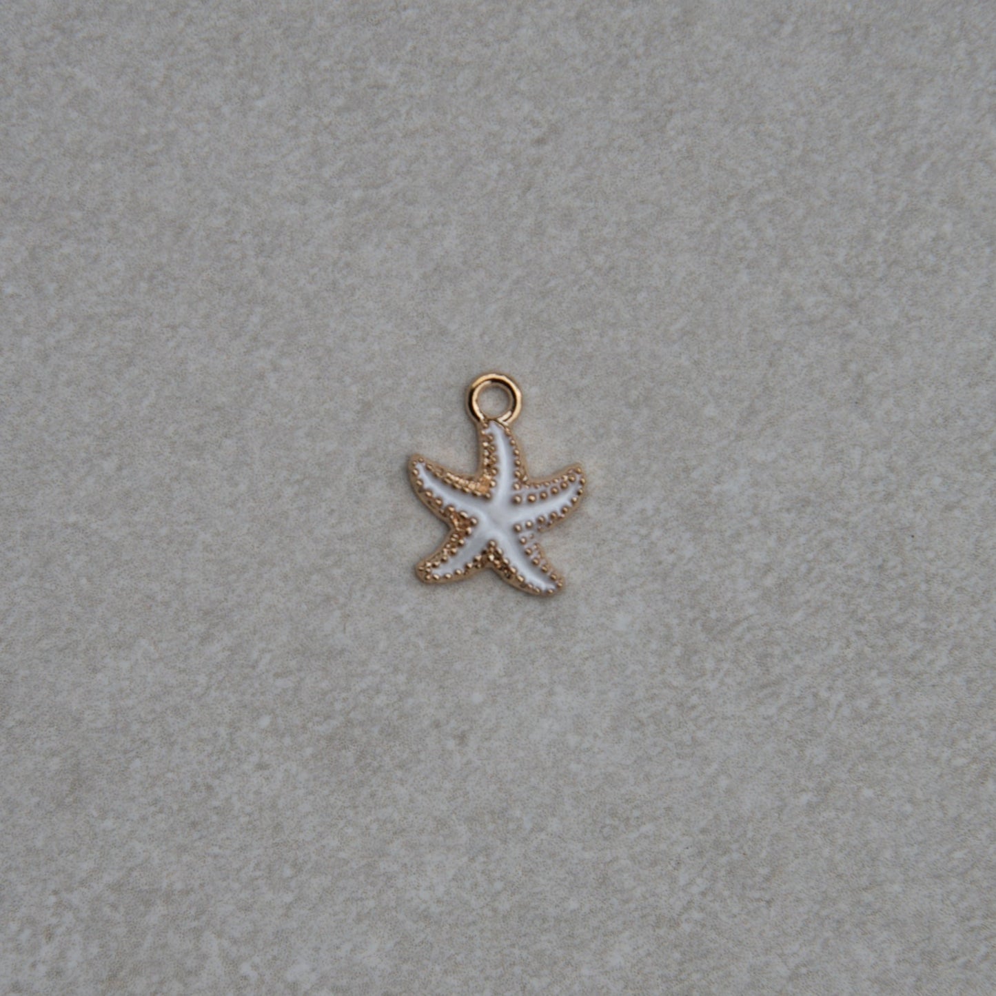 Charm Étoile de Mer Colorée