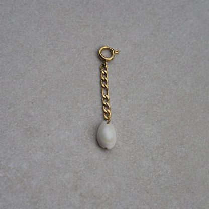 Charm Chaîne Coquillage Cauri